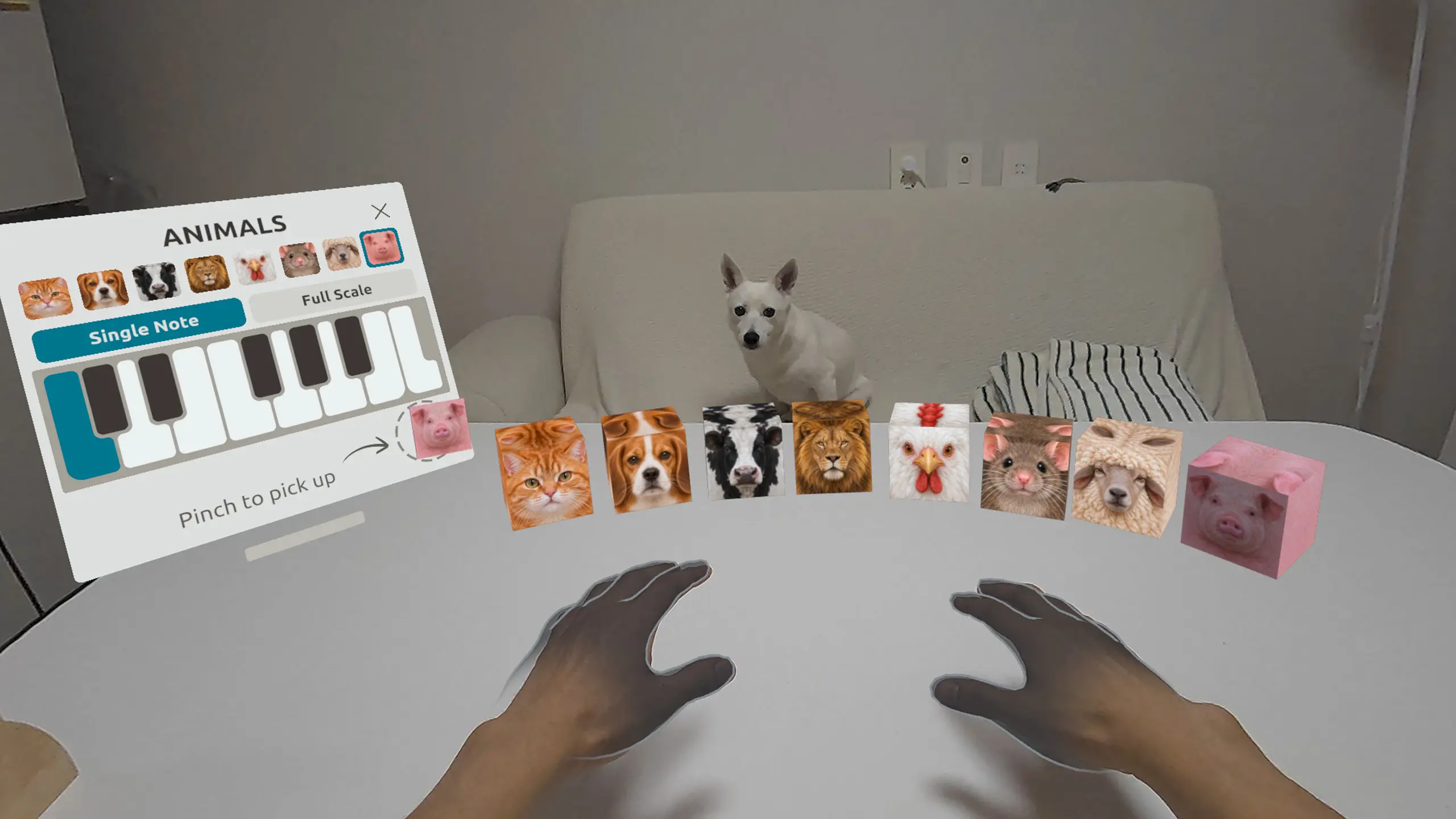 Animaloop screenshot 4